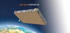 Top economic official unveils goal of developing over 100 ultra-small public satellites by 2031