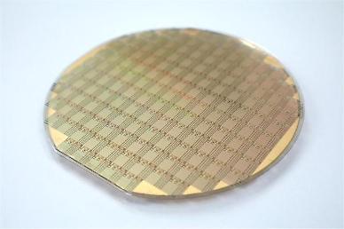 Gallium nitride power amplification device localized in S. Korea