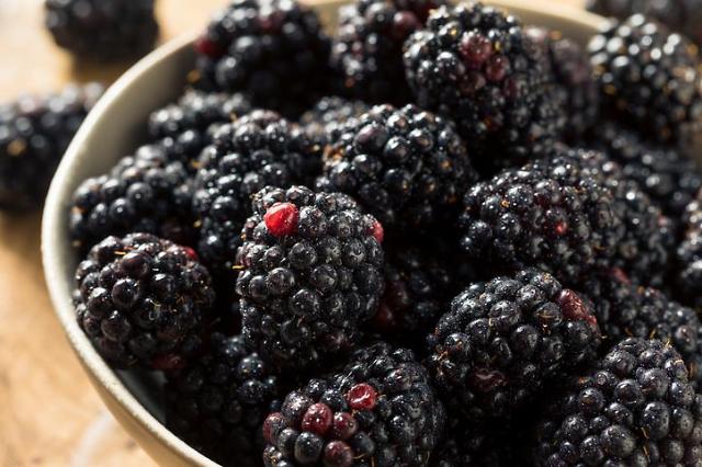 Clinical trails approved to check efficacy of Korean blackberry for cancer treatment