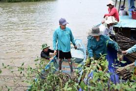 SK Innovation tiếp tục dự án trồng cây phục hồi diện tích rừng ngập mặn tại Việt Nam