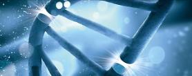 ToolGen seals technology transfer deal with Australian partner on gene therapy