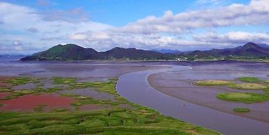 Researchers prove mud flats ability to capture carbon