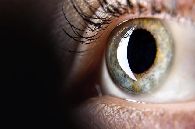 S. Korea approves fast-track commercialization of artificial corneal transplant