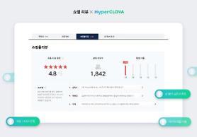 Navers online shopping service adopts AI system to simplify customer reviews
