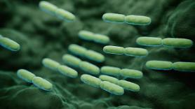 S. Koreas agricultural ministry to establish microbiome resource center to create database