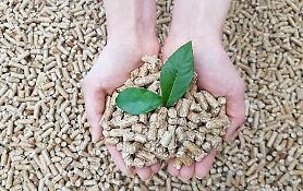 S. Korean companies agree to replace imported pellets with domestic biomass fuel from 2025