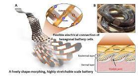 State researchers develop flexible battery shaped like snake scale capable of moving