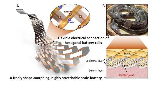 State researchers develop flexible battery shaped like snake scale capable of moving