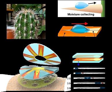 ​Researchers develop cactus-spine-inspired sweat sensor for non-invasive health monitoring