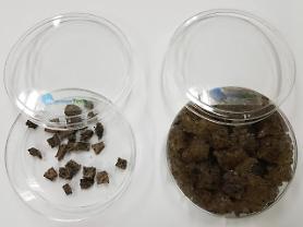 Researchers develop soil conditioner capable of storing water without using chemicals
