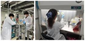 Researchers develop chemoenzymatic technique to extract precursor for biofuel from agricultural waste