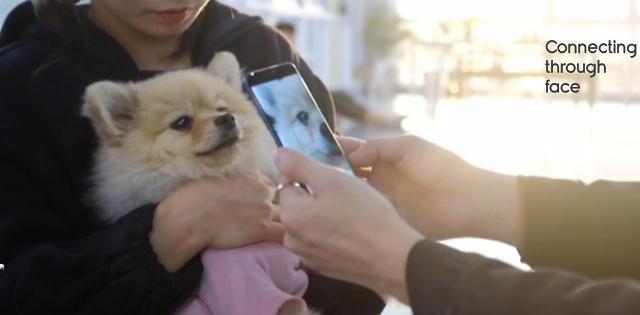 Tech startup develops easy pet registration service using facial recognition