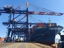 HMM、50番目の臨時船舶投入…国内輸出企業への支援継続