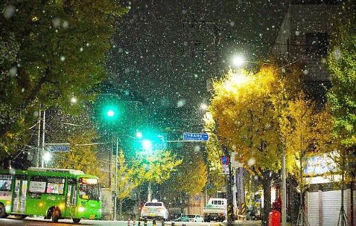 首尔迎来第一场雪