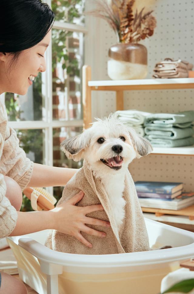 ​Amore releases vegan-certified hair care products for pets