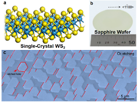 Researchers propose new mechanism for mass production of chips using transition metals