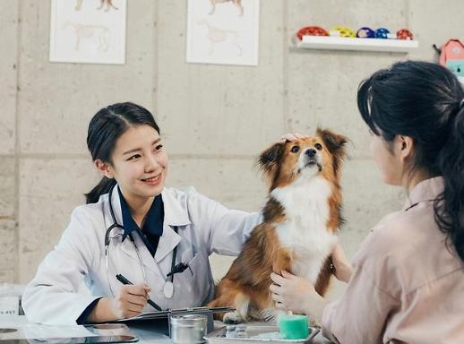[조현미의 여기는 세종] 내년부터 동물간호사가 반려동물 진료 돕는다