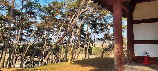 ​⓽ 정치와 문학의 기묘한 만남, 정철과 송강정