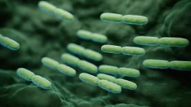 S. Korea launches 10-year project to nurture microbiome industry by injecting $968.5 mln state fund