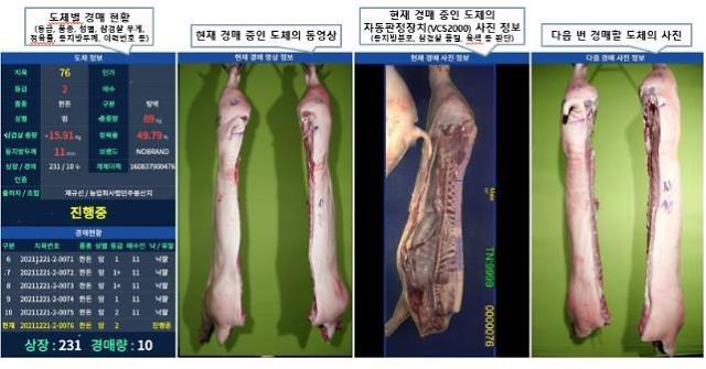 S. Korea demonstrates video information-based online pork carcass auction 