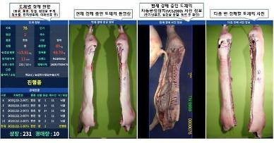 S. Korea demonstrates video information-based online pork carcass auction 