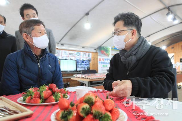 김현수 농식품부 장관 딸기 가격 이달 중순부터 안정
