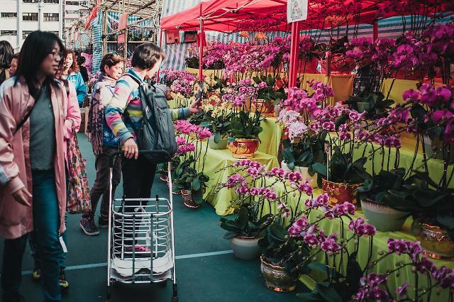 [NNA] 홍콩 춘제 꽃시장, 감염확산 우려로 중지