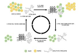 Researchers develop method to extract rare earth elements from industrial waste 
