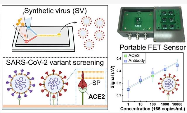 Researchers develop rapid biosensor capable of on-site screening of all COVID-19 variants
