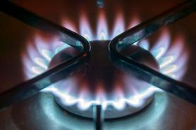 ​Researchers develop zero-carbon technique for production of high-quality fuel using food waste