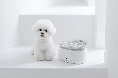 집콕 명절 우리집 댕댕·냥냥이 건강관리 제대로 해볼까