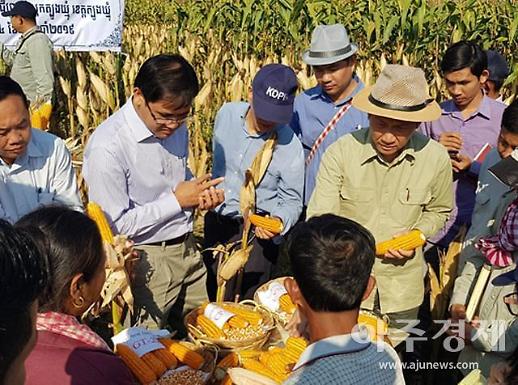 [조현미의 여기는 세종] 세계로 뻗어가는 K-농업