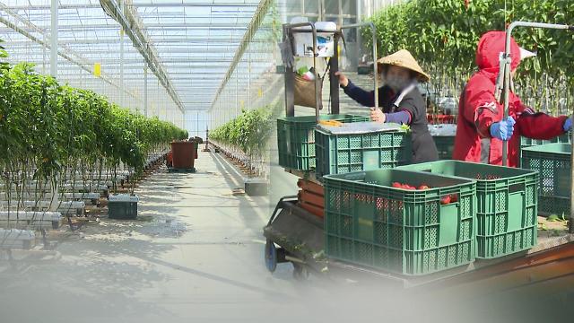 韩国计划今年引入8000名E-9签外籍劳工参与农业生产
