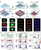 Researchers develop quantum dot production technique capable of preventing coffee ring patterns