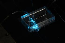 Researchers localize core component for highly accurate digital PCR tests to lower production costs