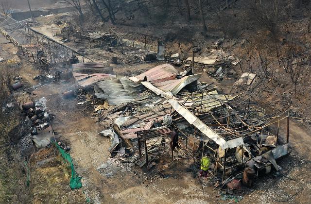 韩国东海岸山林大火持续蔓延 多家韩企伸出援手