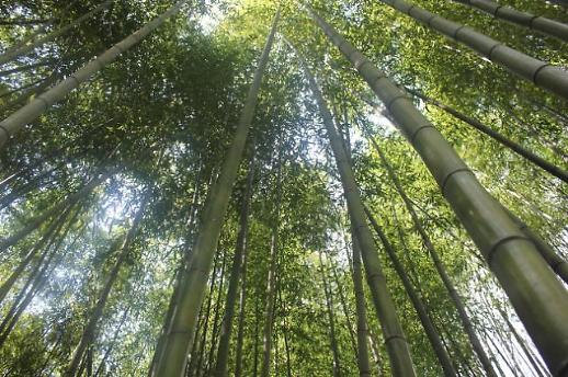 ㉚에필로그 – 천년 문장(紋章)과 담양학  