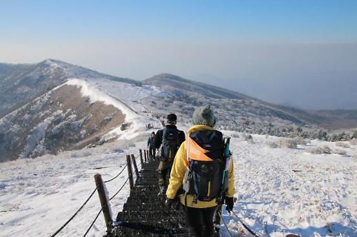 ​[기수정의 여행 in] 코로나 3년차…여행 스타트업은 위기 속에서 어떻게 살아남았나 