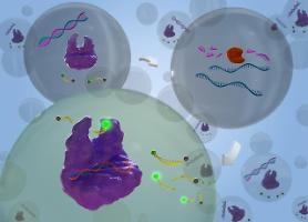 Researchers develop accurate RNase H activation detection technique using genetic scissors