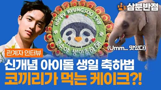[삼분반점] 엑소 디오도 생일 축하 받았다! 아이돌 생일 축하의 새로운 유행 코끼리 케이크의 정체는?