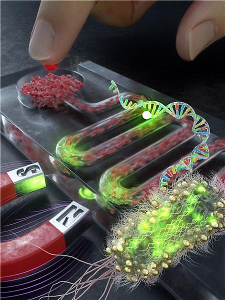 Researchers develop ultra-quick diagnosis chip technology for blood poisoning by bacteria