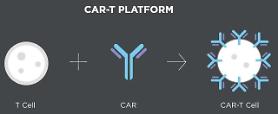 Abclon partners with state cancer center to develop CAR-T cell therapy for intractable solid cancer 