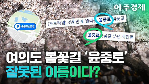 3년 만에 개방되는 여의도 봄꽃길... 윤중로라고 부르면 안 된다?