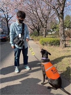 Seoul to recruit dog owners as local neighborhood watchmen