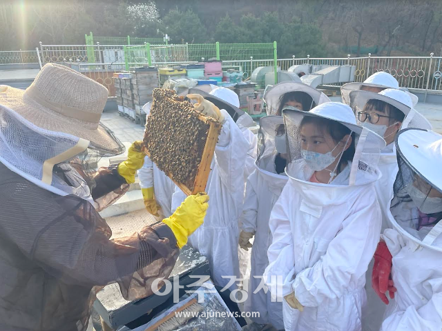 꿀벌과 도심 속 공존을 경험하는 청소년 생태체험