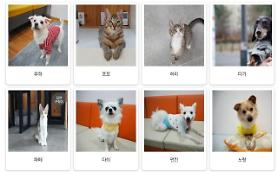 Seoul to promote adoption of abandoned animals through special benefits