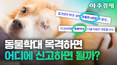[영상] 점점 늘어나는 동물 학대, 신고 방법은?