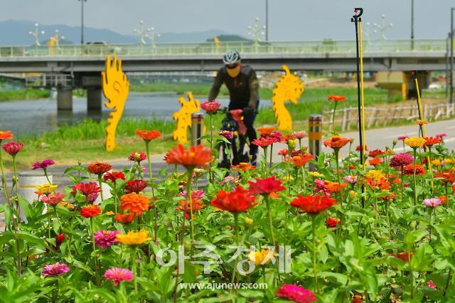 장성 황룡강 (洪)길동무 꽃길축제 3년 만에 열린다