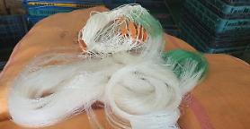 Southwestern coastal city to distribute biodegradable fishnets