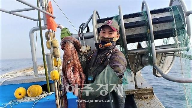 경북도, 올해 우수 귀어귀촌인 및 漁울림마을에 선정